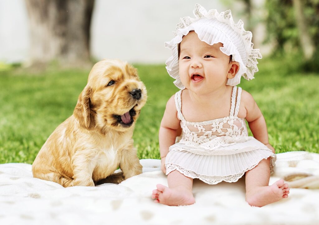 puppy with baby in the garden